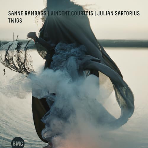 Figure holding branches near water, album cover for “Twigs.”
