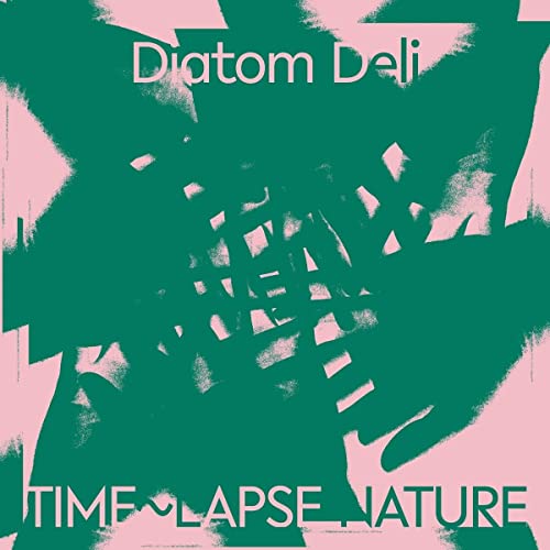 Vinyl record cover: abstract pink and green geometric shapes, text "Diatom Deli".