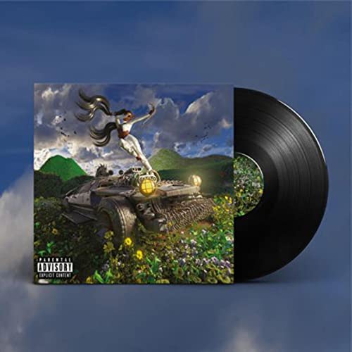 Vinyl record with cover art depicting a woman and vehicle in a landscape.