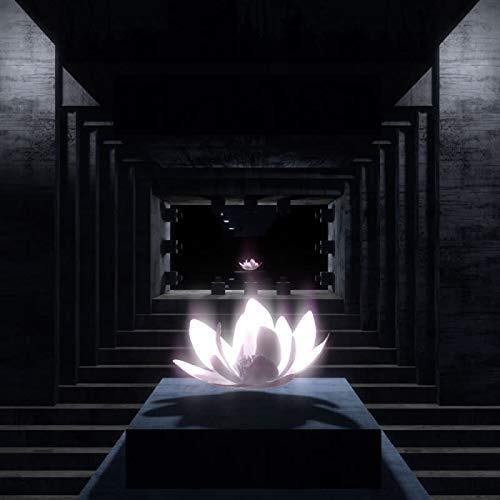 Dark album cover featuring a glowing white lotus in a stone hallway.