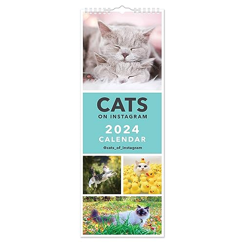 2024 Cats on Instagram Slim Wall Calendar Month To View