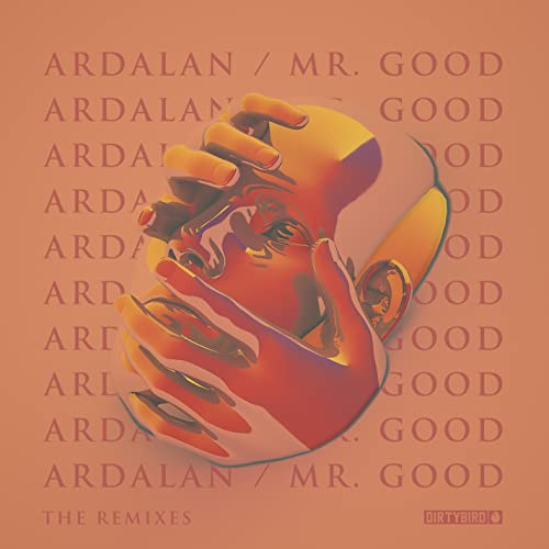 Vinyl album cover for Ardalan’s “Mr. Good (The Remixes)” featuring a hand.