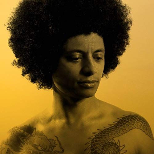 Man with curly hair and tattoos on sepia-toned album cover.