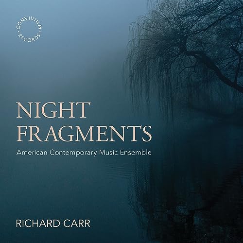 CD cover for “Night Fragments” by Richard Carr, featuring a misty landscape.