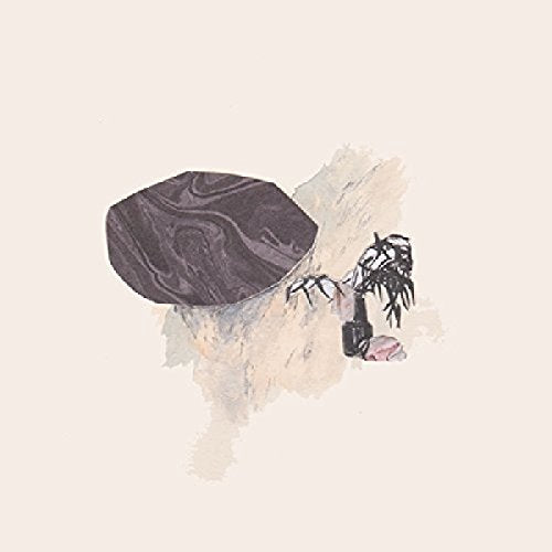 Painted illustration of a dark eraser and a small, wilted plant.