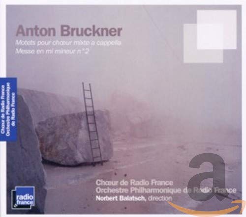 CD cover featuring a ladder leaning against a large rock in a misty landscape.
