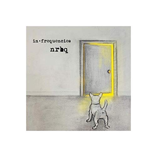 "NRBQ album cover featuring a dog peering through a door with yellow light."
