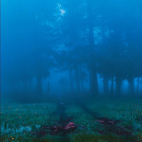 Blue-toned forest scene with a path, album cover for "Commune" vinyl.