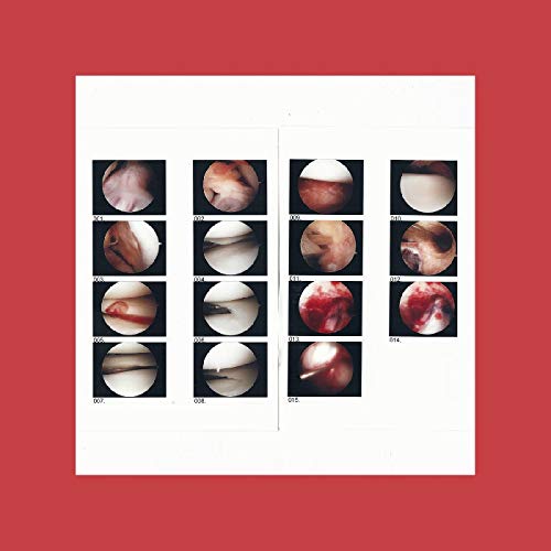 Vinyl record sleeve with abstract, close-up images on a red background.