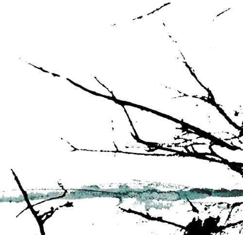 Dark tree branches against a pale, snowy landscape.