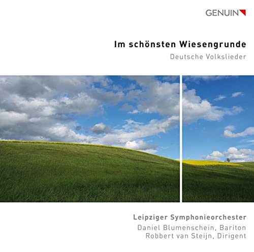 CD cover with a landscape divided into sky and green fields.