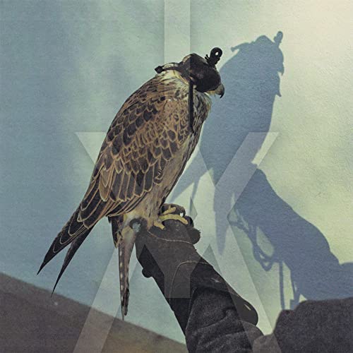 CD cover featuring a hooded falcon perched on a gloved hand.