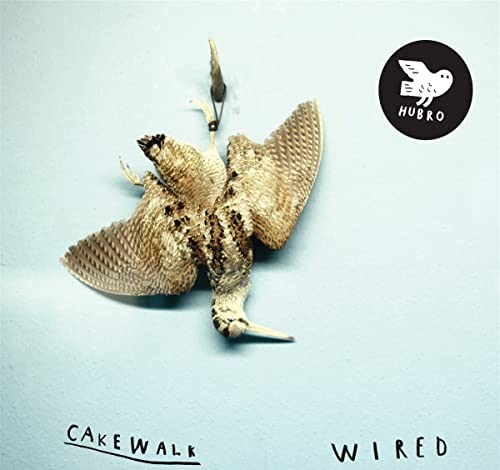 CD cover with a taxidermied bird against a pale blue background.