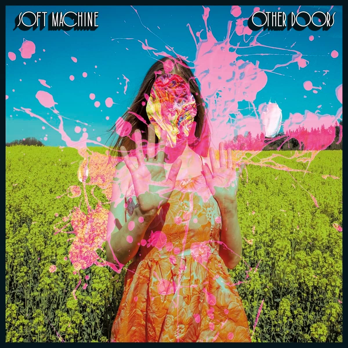 "Album cover with a woman in a floral dress amidst flowers, with pink splatters."