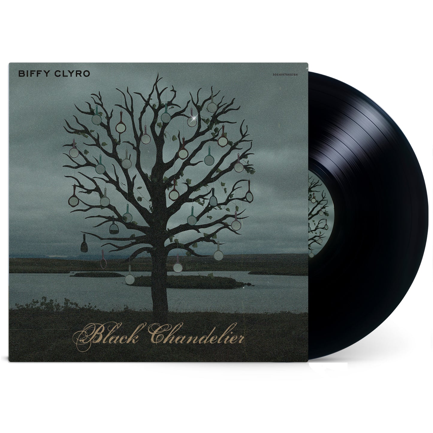 Biffy Clyro vinyl record with a tree and hanging ornaments image.