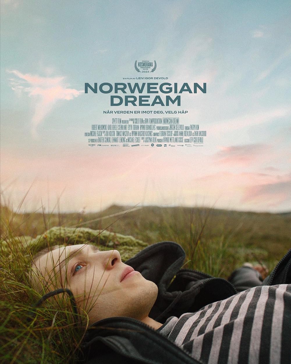 DVD cover for “Norwegian Dream” featuring two young men in a field.