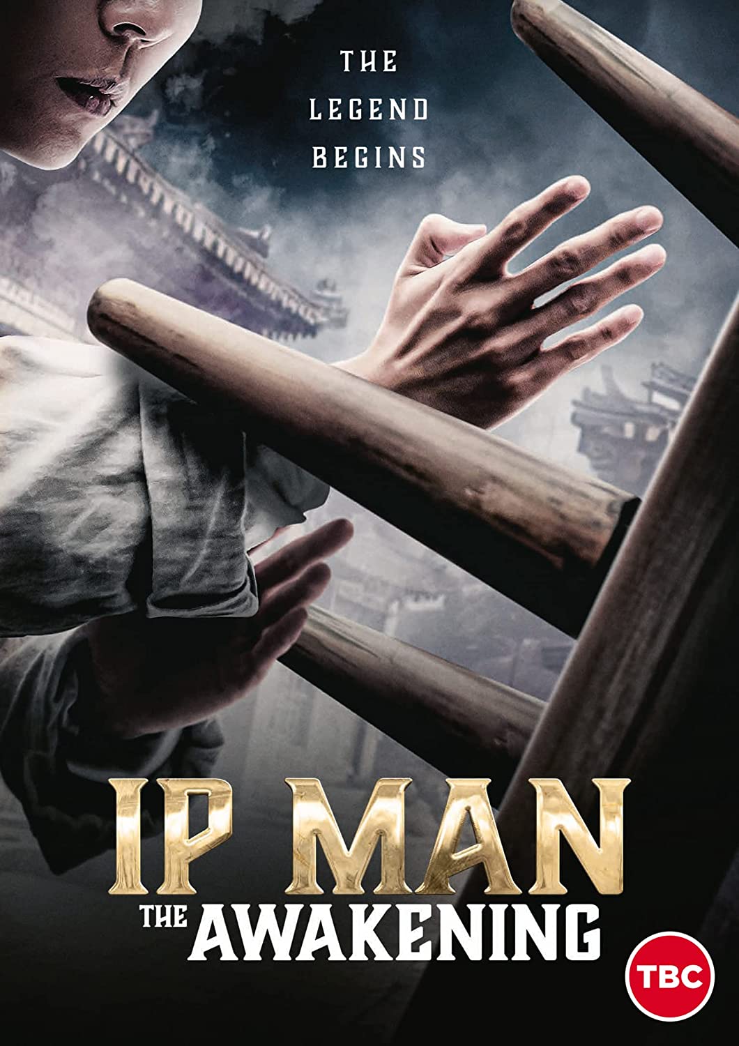 DVD cover for "IP MAN: THE AWAKENING" featuring a martial artist.