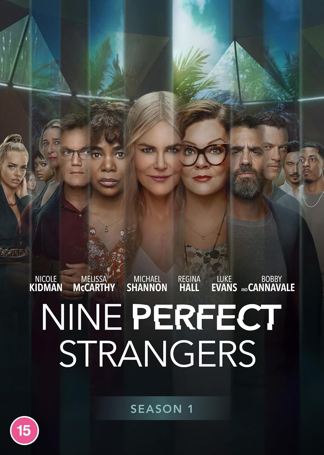 DVD cover for "Nine Perfect Strangers" featuring a group of actors.