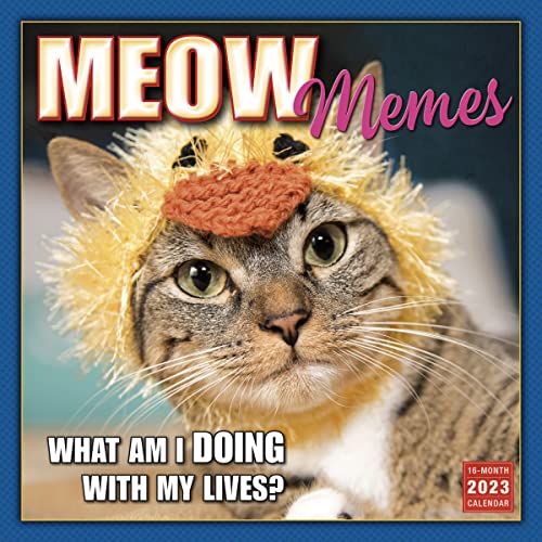 Meow Memes September 2022-December 2023 Calendar (WALL 16 MONTH)