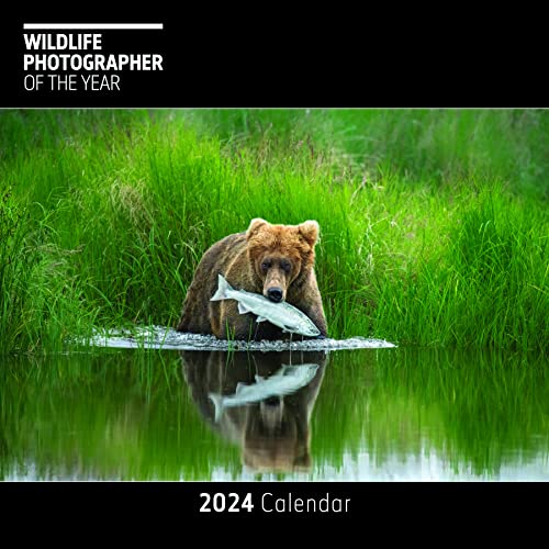 2024 Wildlife Photographer of the Year Square Wall Calendar Month To View