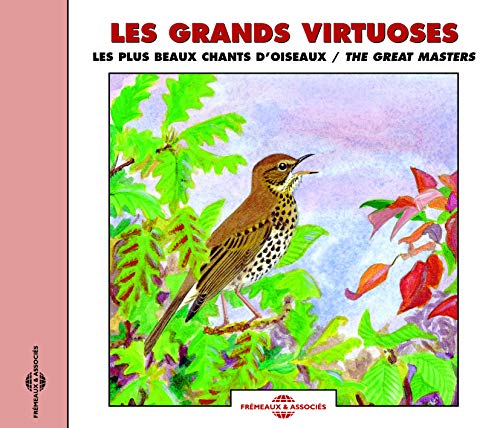 CD cover with a song thrush perched on a branch among leaves.