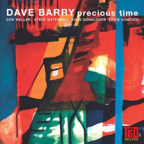 "Album cover with abstract red, blue, and green design, featuring 'Dave Barry - Precious Time'."