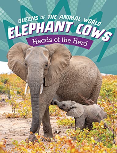 Elephant Cows: Heads of the Herd (Queens of the Animal World)