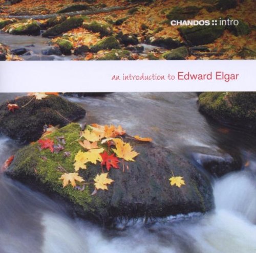 "CD cover with autumn leaves on a rock in a stream."