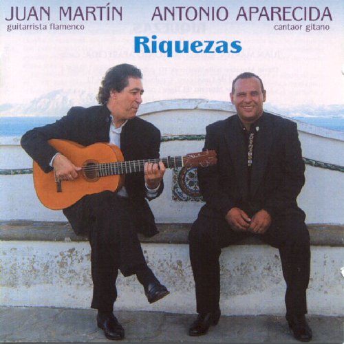 "CD cover featuring two men in black suits, one playing guitar, against a white wall."