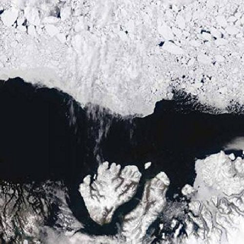 Abstract, textured white and dark shapes resembling ice and water.