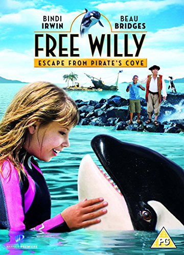 A girl in a wetsuit touches a killer whale in the ocean.