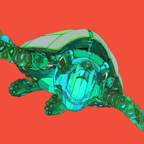 Geometric turtle illustration against a red background, vinyl record artwork.