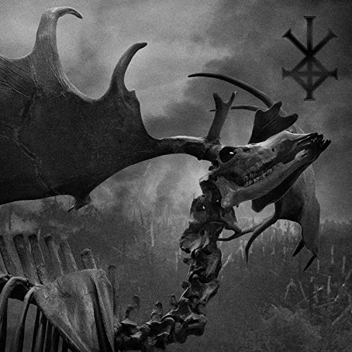 Black and white album cover featuring a skull, bones, and abstract shapes.