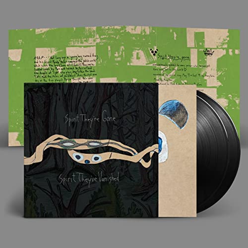 Animal Collective vinyl record with illustrated cover and dark forest imagery.
