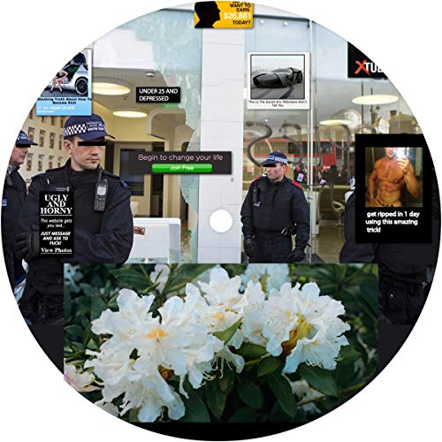 Vinyl record label with collage of police, flowers, and text.