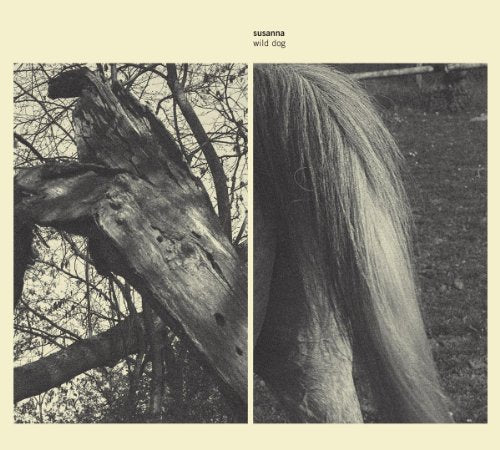 CD cover: black and white image of a tree and horse’s flank.