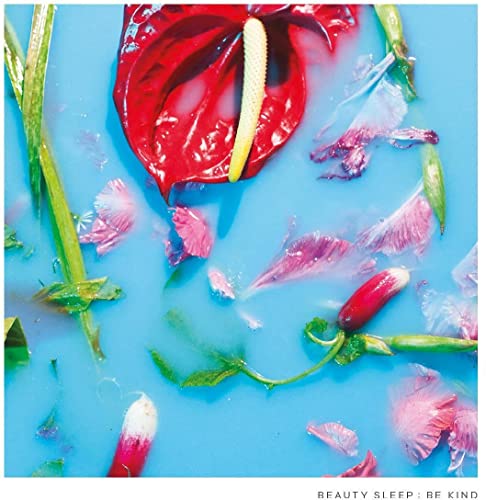Red anthurium and pink flower petals on a bright blue background.