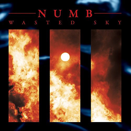 "Album cover with 'NUMB' and 'WASTED SKY' text, featuring three fiery panels."