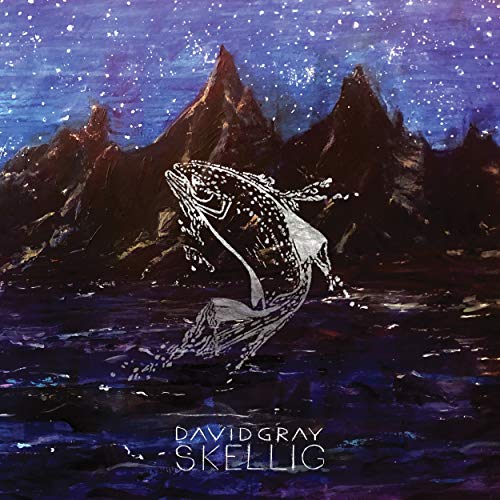 Album cover for David Gray’s “Skellig” featuring a leaping silver fish.