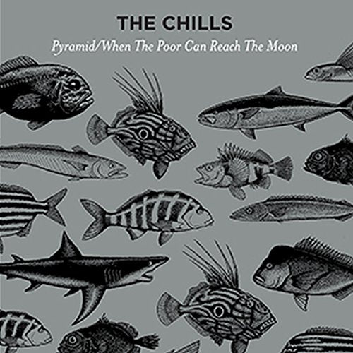 Album cover for The Chills’ “Pyramid,” featuring illustrations of various fish.