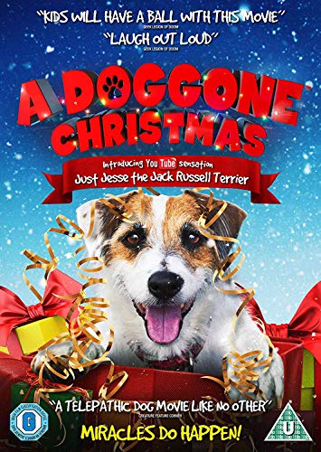 DVD cover for "A Doggone Christmas" featuring a Jack Russell Terrier in a gift.