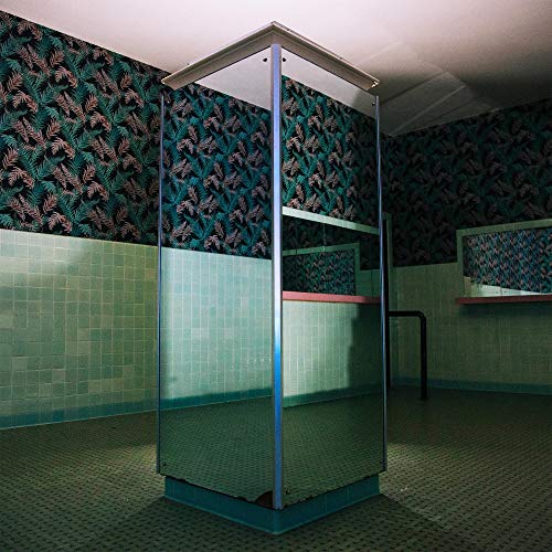 The image depicts a room with a glass-enclosed structure, green tiled walls, and a patterned wallpaper. #### Alt Text "Glass-enclosed structure in a room with green tiled walls and patterned wallpaper."