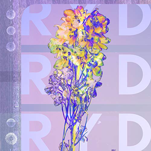 Vinyl album cover with colorful, distorted floral image and text.