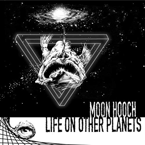 "Album cover with a fish-like creature in a triangle, surrounded by stars and a galaxy."