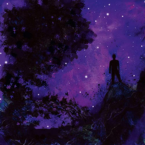 Silhouetted figure stands on a rock under a starry, purple sky.
