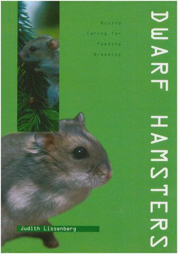 Dwarf Hamsters