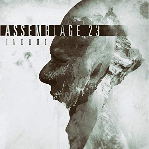 Album cover with a skull-like figure and the text "Assemblage 23 - Endure".