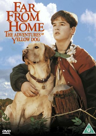 Boy with yellow dog, DVD cover for "Far From Home.