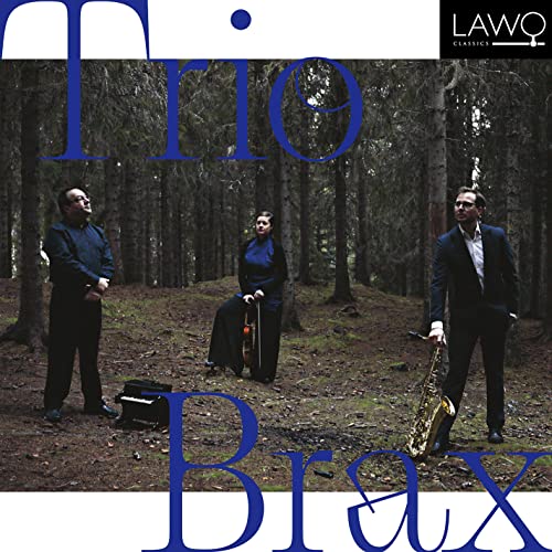 CD cover: Trio Brax musicians in a dark forest setting.