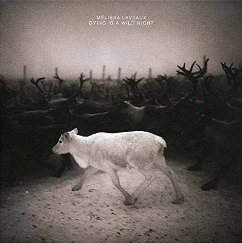 Black and white album cover featuring a white reindeer in a field.